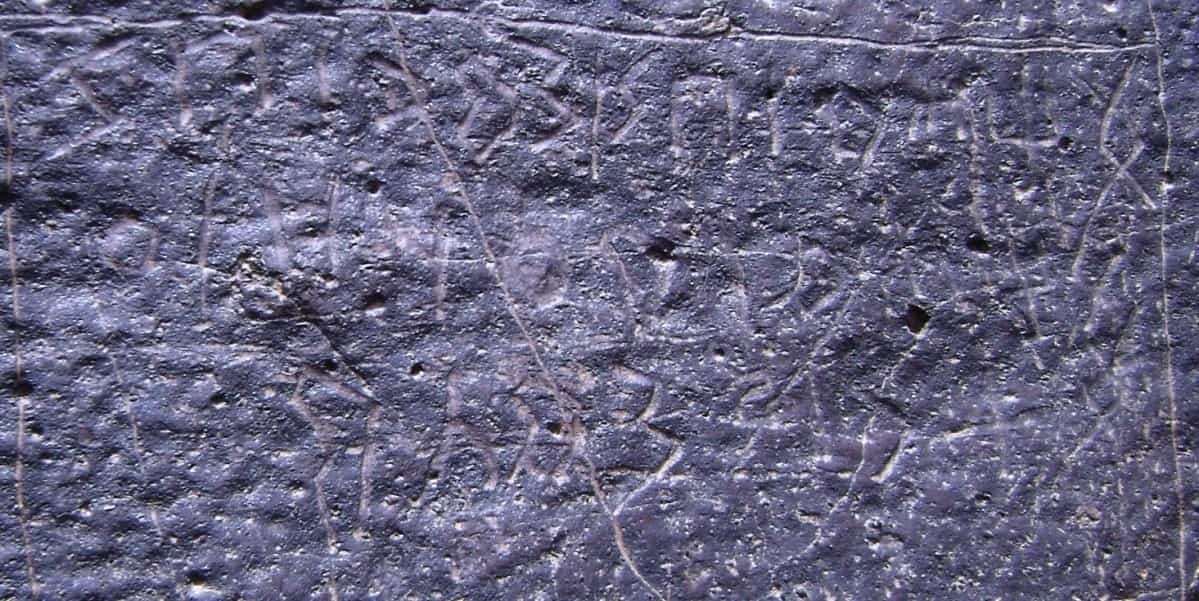 الشرعي ضركام3